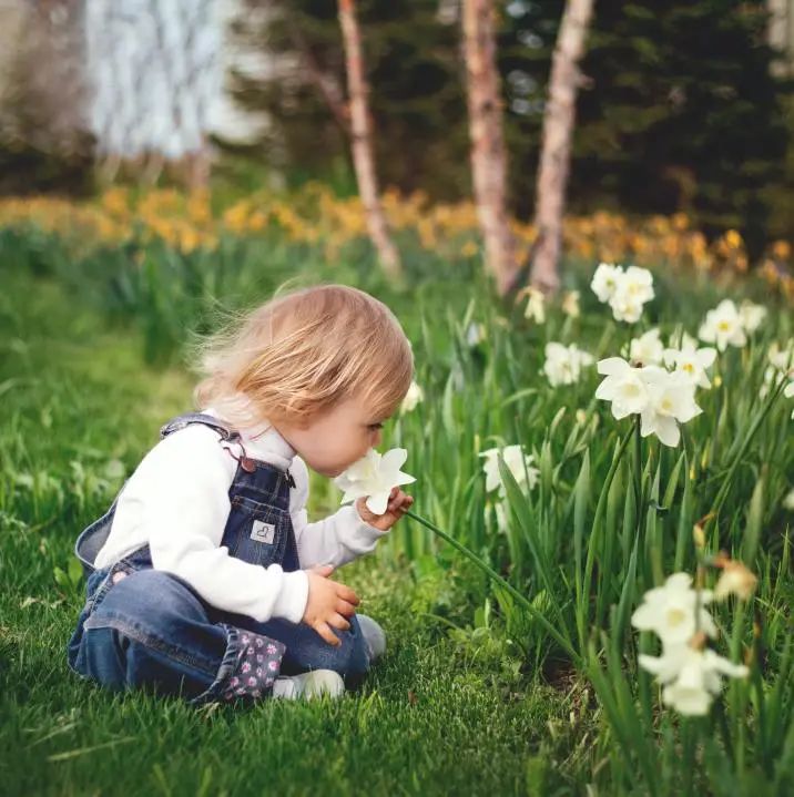 珠海室內(nèi)設(shè)計 珠海室內(nèi)設(shè)計